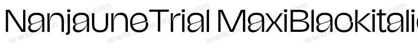 NanjauneTrial MaxiBlackitalic字体转换